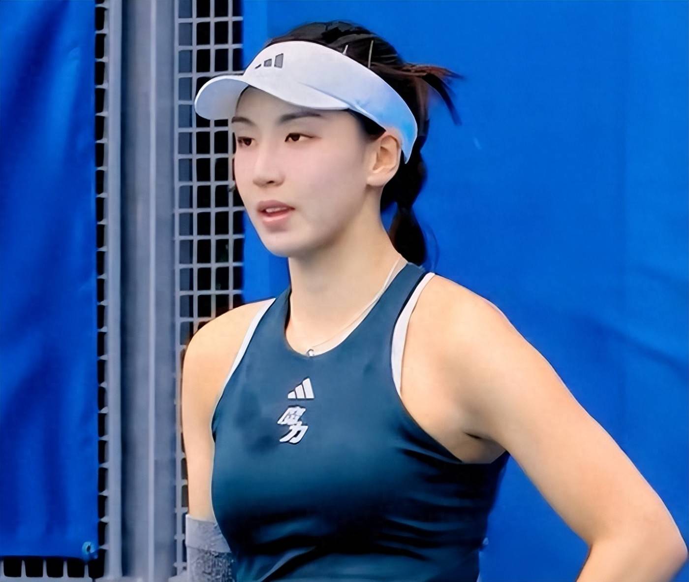 数据表现 数据表现