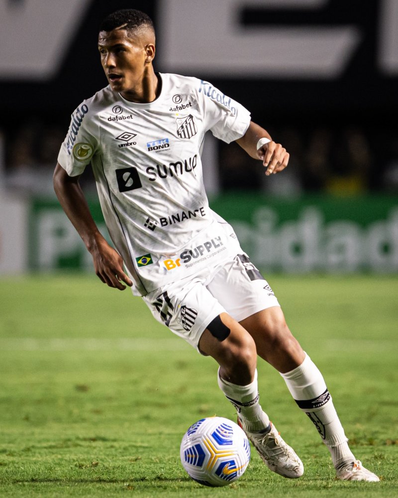 这种全能型 这种全能型