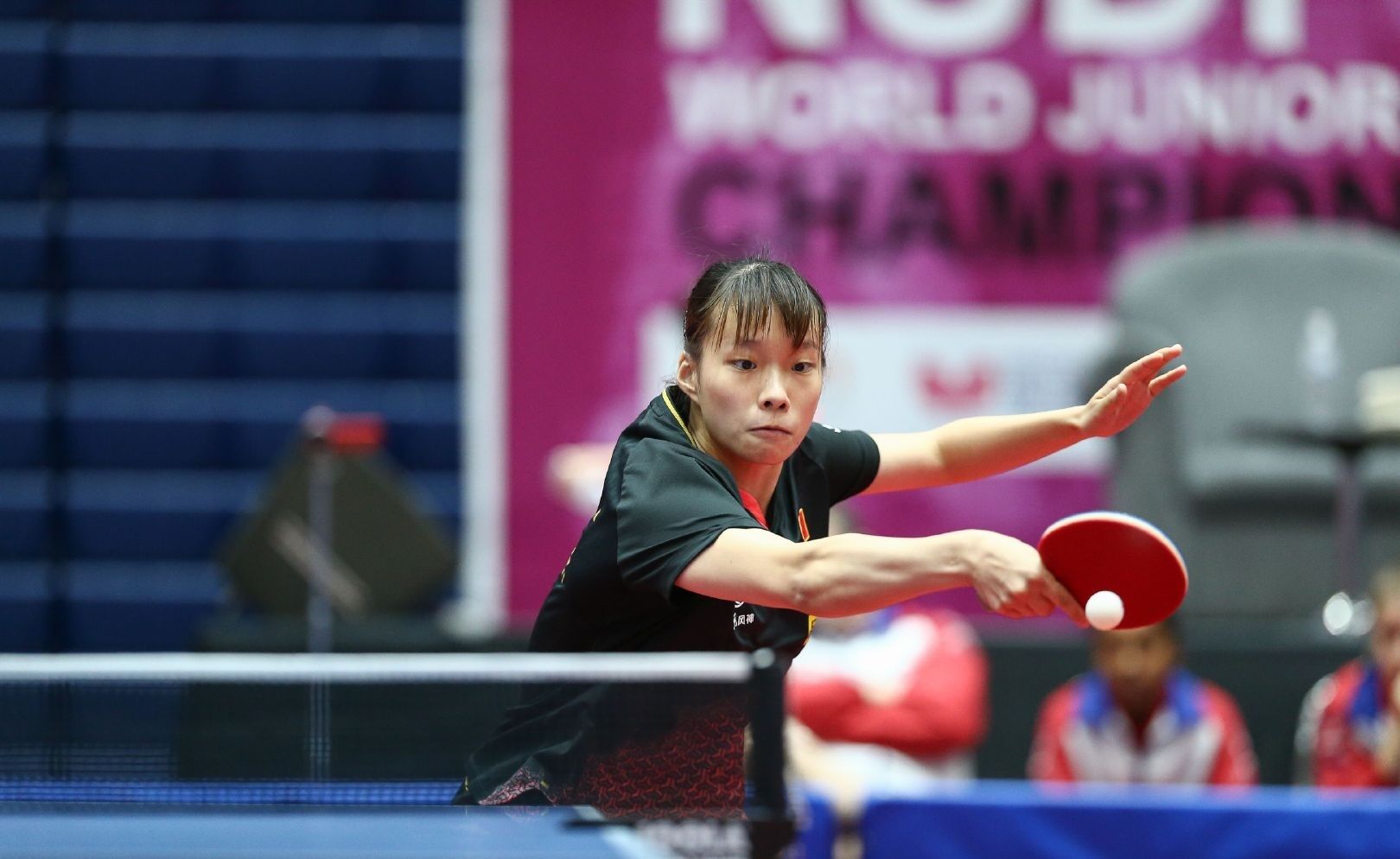 呈零散分布 呈零散分布