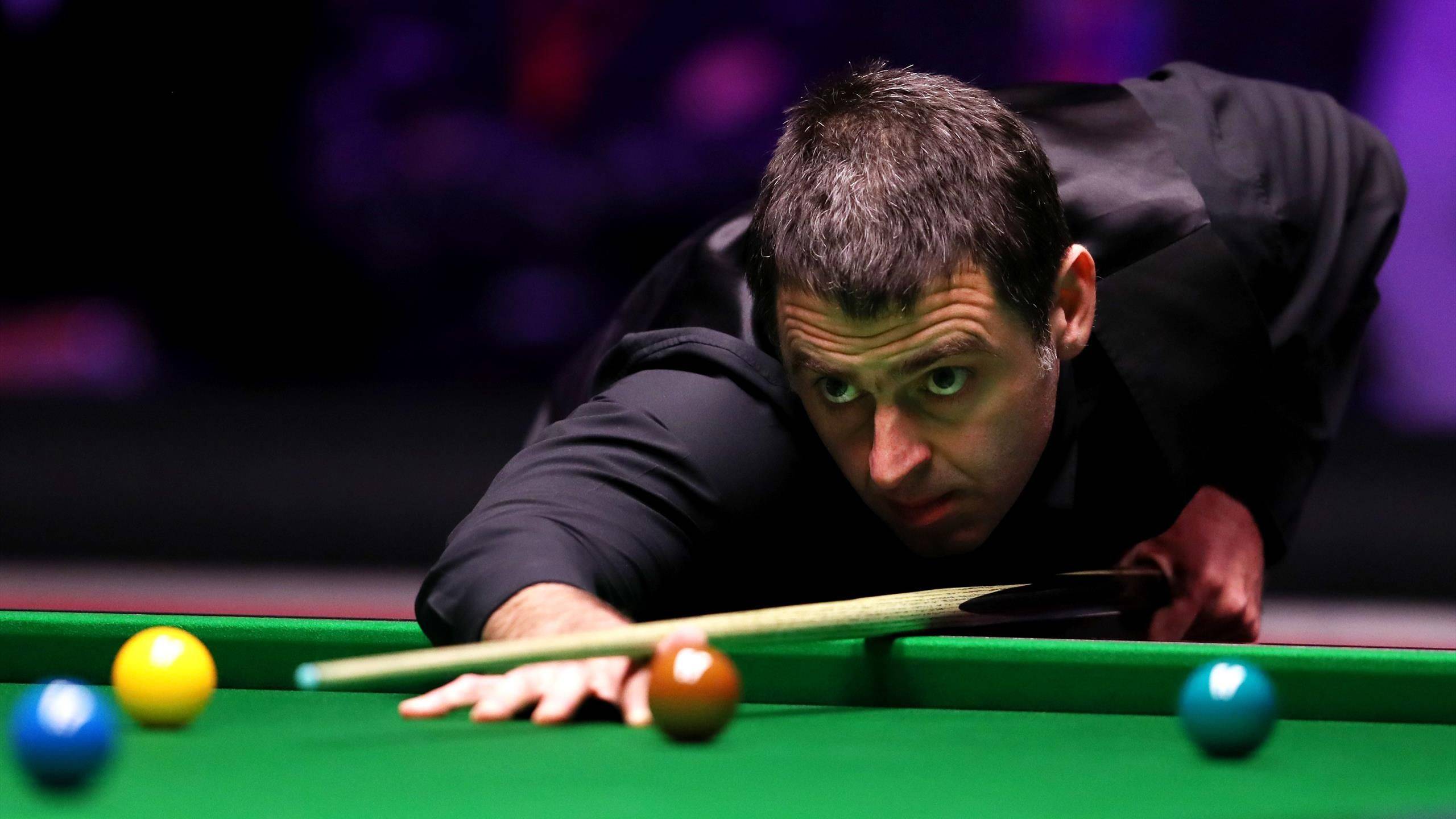 样可能将玩 样可能将玩